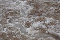 
DSC00109